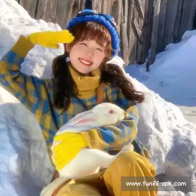 甄辰玮